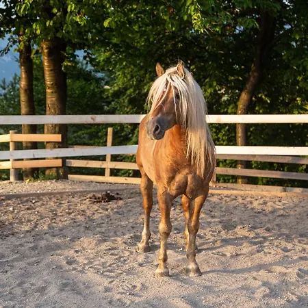 Malak Farma * Kakanj