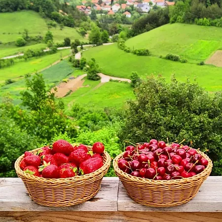 Vikendica Malak Farma